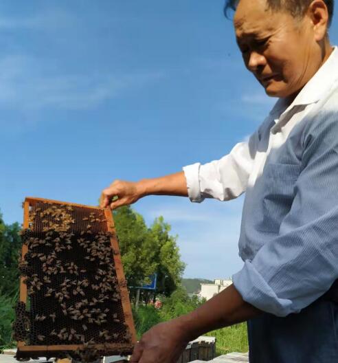 余天和 荣获由历晨网络科技主办“中医康复理疗专家”三等奖