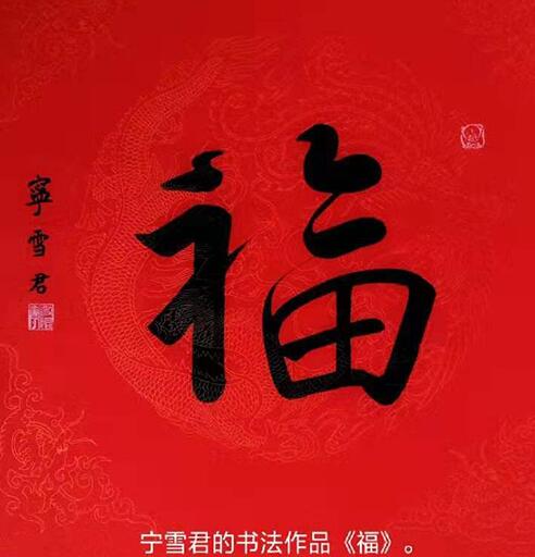 乔领、宁雪君福祝中巴友谊新时代